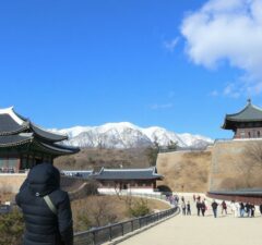 Южная Корея: как съездить и не потерять ни капли удовольствия