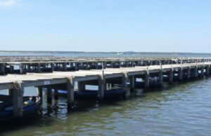 Французские экскурсии на устричные фермы в Аркашоне: как окунуться в мир моря, вкуса и местной культуры