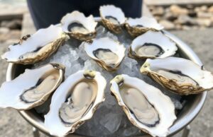 Где искать лучшие устрицы на атлантическом побережье Франции