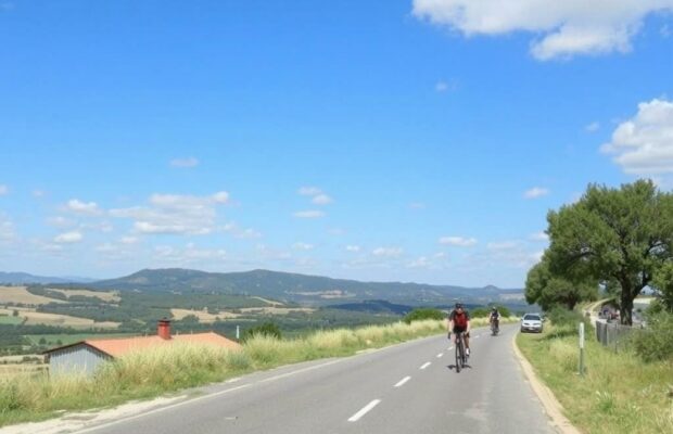 Прованс на двух колёсах: маршруты для велопрогулок, которые откроют лавандовые поля, каменные деревни и безмятежные побережья