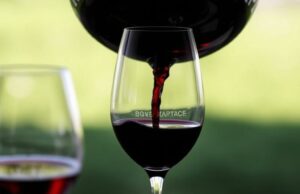 Французские фестивали вина: календарь событий